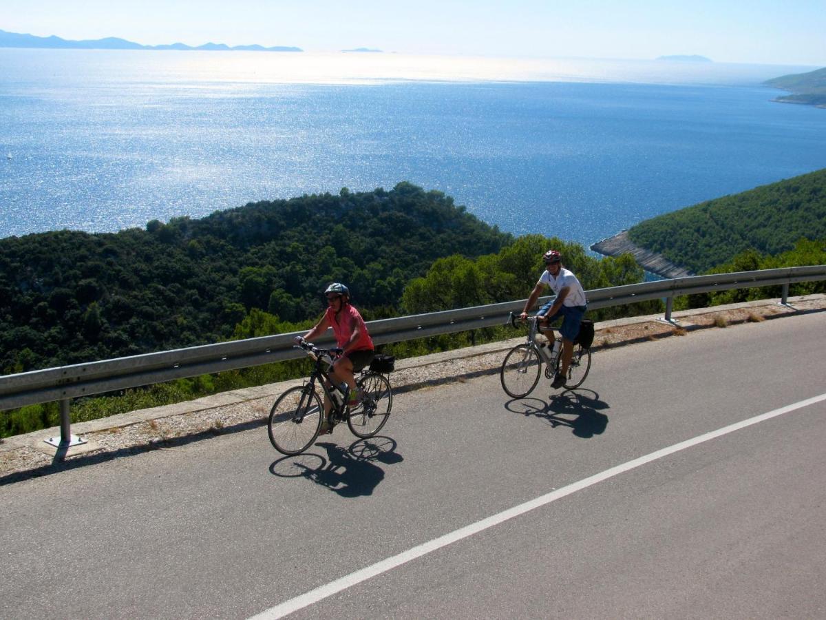Golden View Luxury Maslinica